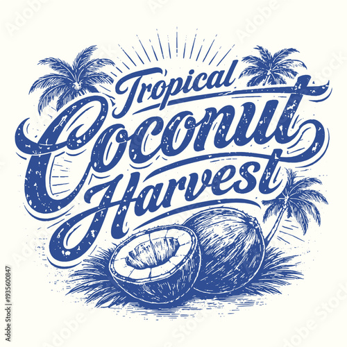 Tropical Coconut Harvest Vintage Lettering Logo Design with Hand Drawn Coconut Fruits and Palm Trees in an Etched Engraving Style Vector