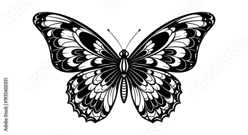 An intricately designed butterfly with outstretched wings is illustrated in black and white, showcasing detailed patterns and textures from a front view.