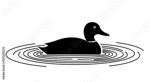 A black duck swims in a pond creating concentric ripples from its movement viewed from the side in a serene environment