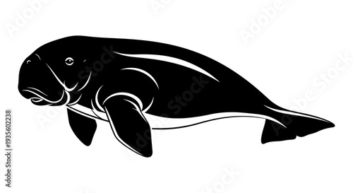 Manatee swimming in the ocean, a serene scene captured from a side view