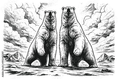 Two Polar Bears Standing in an Arctic Tundra Landscape Hand Drawn Vintage Engraving Style Vector Illustration for Climate Change Themes