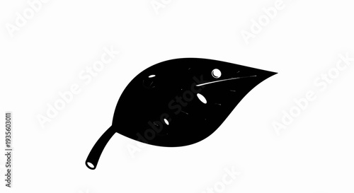 Silhouette of a single black leaf with a stem and various holes