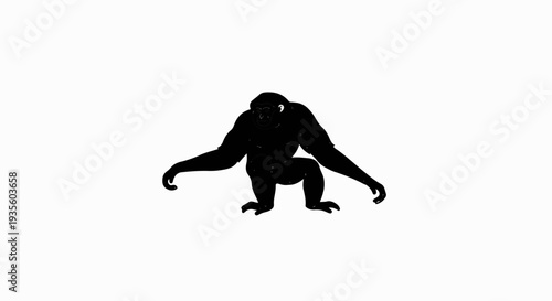 Black silhouette of a gorilla on a white background