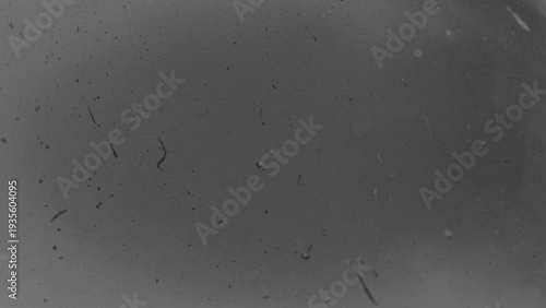 Valokuva Abstract Dust Particles and Scratches on a Grey Surface Macro Shot