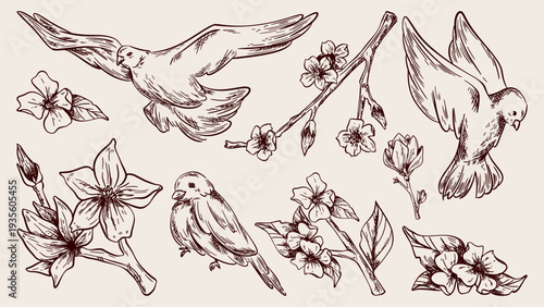 Spring bird and flower sketches set isolated on background. Vector realistic illustration of hand drawn flying pigeon, sparrow, blooming sakura tree branch with blossom and leaves, floral card design