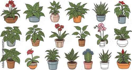 Indoor Potted Houseplants Collection with Tropical Foliage Flowers Cactus and Decorative Home Garden Plants Flat Vector Illustration Set.