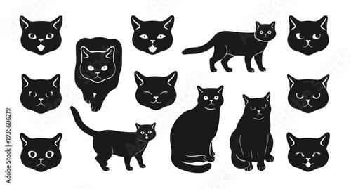 Black cat collection. Cat in different poses, cat head. Kitty characters. Vector illustration