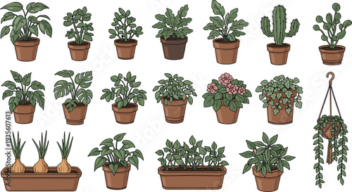 Indoor Potted Houseplants Collection with Tropical Foliage Cactus Hanging Plants and Decorative Home Garden Pots Vector Illustration Set.