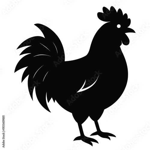 A striking black rooster with detailed feathers perches gracefully on its feet against white