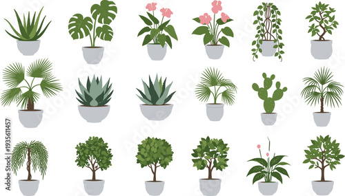 Indoor Potted Plants Collection with Tropical Houseplants Cactus Palm Monstera and Succulent Decorative Home Garden Vector Illustration Set.