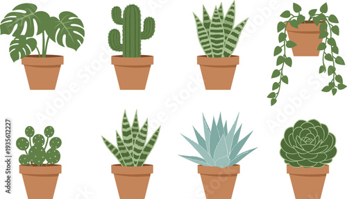 Indoor Potted Succulent and Tropical Houseplants Set with Monstera Cactus Snake Plant Aloe and Hanging Vine Decorative Vector Illustration.