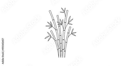 Minimalist black and white bamboo plant outline illustration