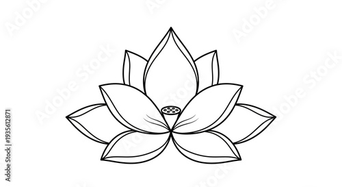 Minimalist black outline drawing of a beautiful lotus flower