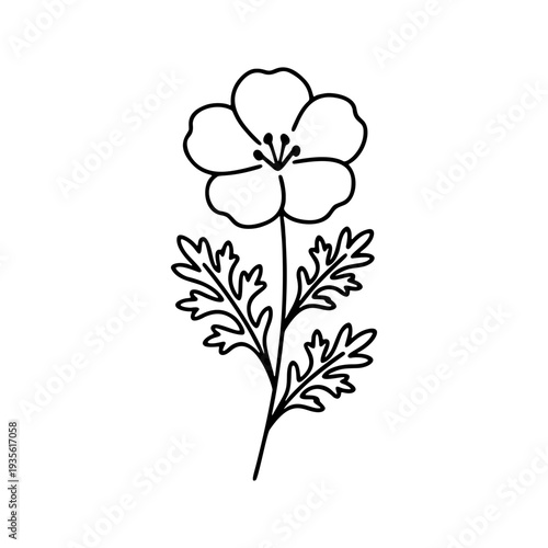 シンプルなネモフィラの線画アイコン