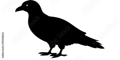 Pigeon side silhouette pure black