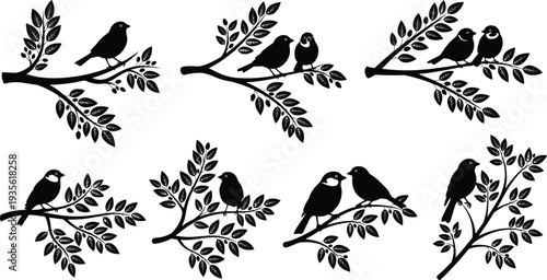 songbird silhouettes on leafy branches set, perched bird couples wildlife vector illustration, black avian nature decorative design collection