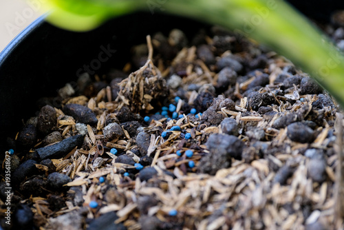 Wallpaper Mural Close-up of NPK fertilizer granules on rich potting soil for optimal plant growth Torontodigital.ca