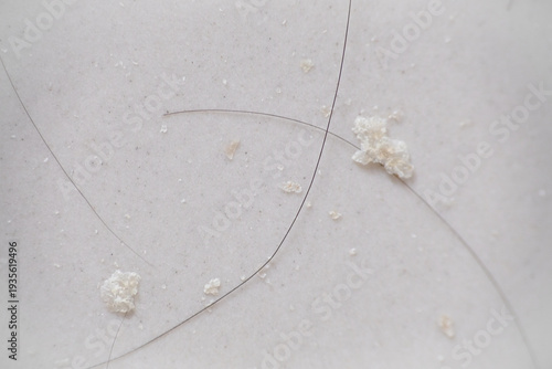 Wallpaper Mural Macro photography of fallen hair and dry dandruff crusts on the floor Torontodigital.ca