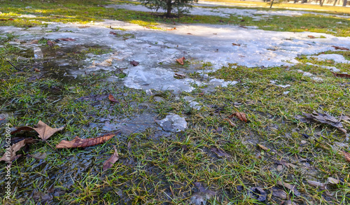 Melting snow over green grass with fallen leaves during seasonal transition in outdoor park