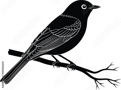 black bird perched on tree branch silhouette, crow raven style wildlife vector illustration, detailed avian nature animal design