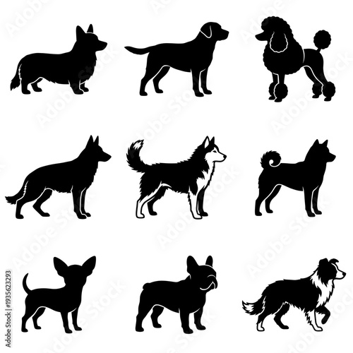Silhouettes of various dog breeds including Corgi, Labrador, Poodle, German Shepherd, Husky, Shiba Inu, Chihuahua, French Bulldog and Border Collie set.