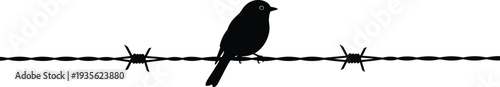 bird silhouette sitting on barbed wire, black crow raven style wildlife vector illustration, minimal nature animal isolated design