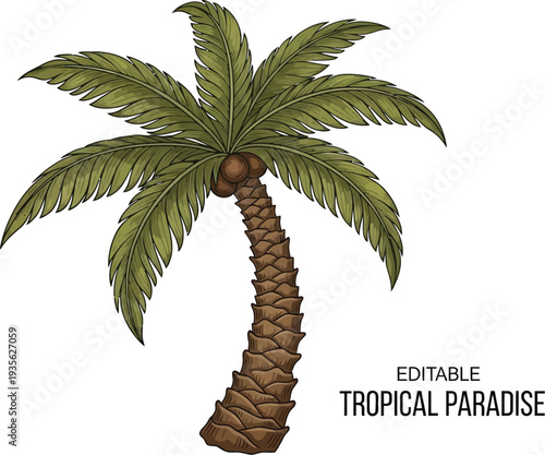 A serene palm tree standing alone in a tropical paradise