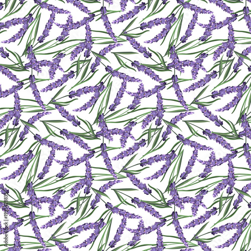 Blooming lavender, randomly arranged.Vector seamless pattern with lavender flowers on a white background.