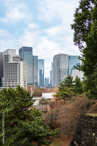 japan, japonia, asia, tokio, tokyo, skytree, asakusa, shibuya, shinjuku, night, imperial palace, palące, ginza