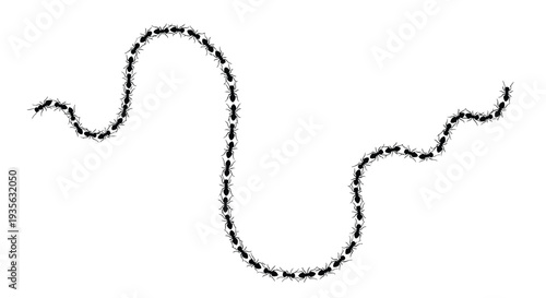 A winding line of ants forming a unique shape silhouette
