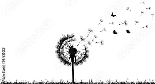 A delicate dandelion releasing seeds with fluttering butterflies silhouette