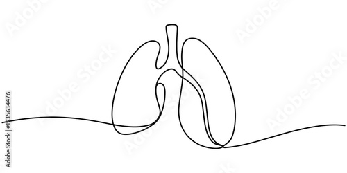 lungs continuous one line drawing, Continuous single line drawing of human lungs with editable stroke. Minimal one line art style vector, Human lungs organ one continuous line art, Vector illustration