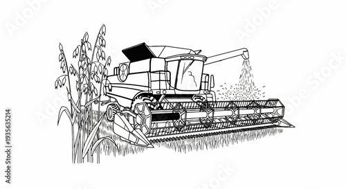 Agricultural combine harvester gathering grain from tall stalks of crops