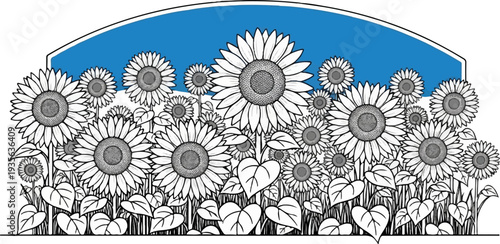 Abundant sunflowers bloom under a bright blue, arched sky, with detailed leaves below