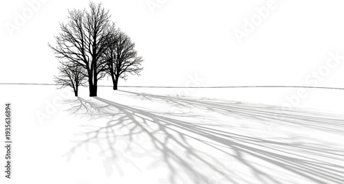 Minimalist winter scene with bare trees casting long shadows on snow