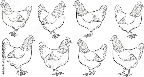 Four pairs of chickens arranged in two rows, each bird detailed with line art