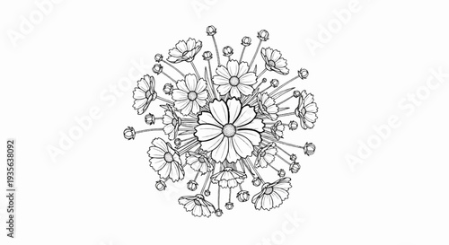 A circular arrangement of delicate, outlined flowers and buds