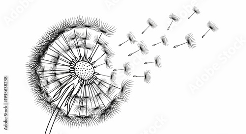 Close-up illustration of a dandelion with seeds blowing away on white background