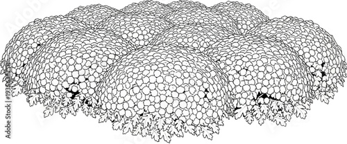 Organic textured cluster of round forms and leaves