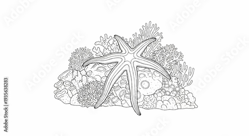 Starfish rests on intricate coral reef formation, detailed line art