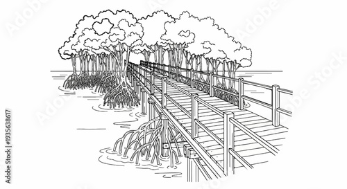 A wooden boardwalk winds through lush mangroves with exposed roots