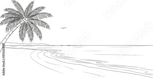 A black and white sketch of a curved shoreline with a palm tree and a distant horizon