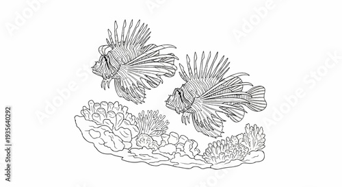 Two lionfish swim above a coral reef in a striking black and white illustration