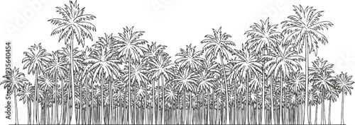A dense, stylized, black and white illustration of a palm forest canopy