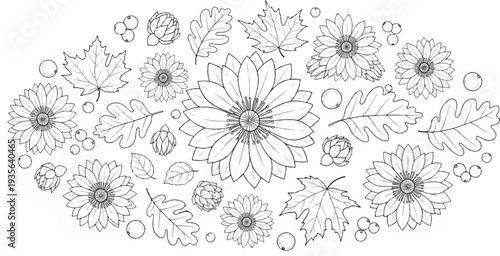 Outline drawing of autumn elements flowers, leaves, berries, and buds
