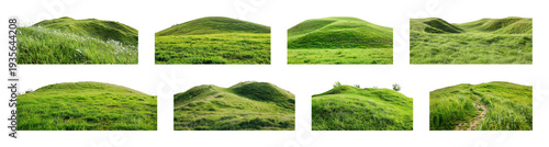 PNG Lush green rolling hills, transparent background