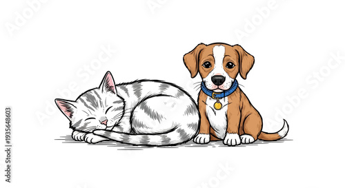 Dog and cat illustration on white background companionship and friendship concept