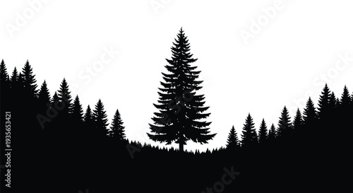 Dark forest scene with prominent central evergreen tree silhouette