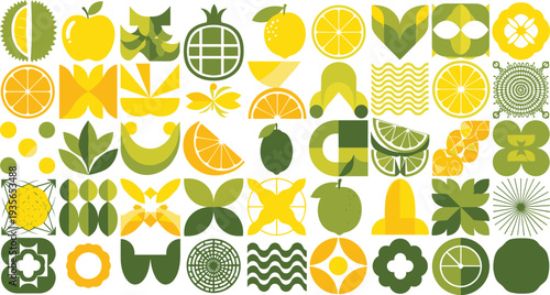 Abstract Citrus Fruits Leaves and Geometric Shapes Collection Modern Flat Vector Illustration Isolated on White Background