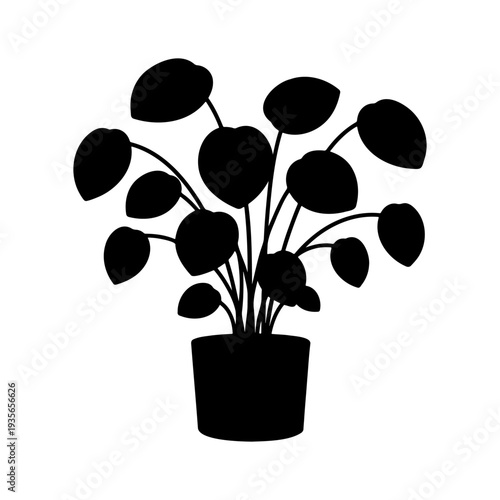 Decorative silhouette of a Chinese money plant in a ceramic pot